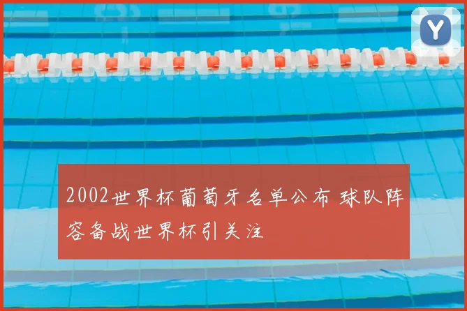 2002世界杯葡萄牙名单公布 球队阵容备战世界杯引关注
